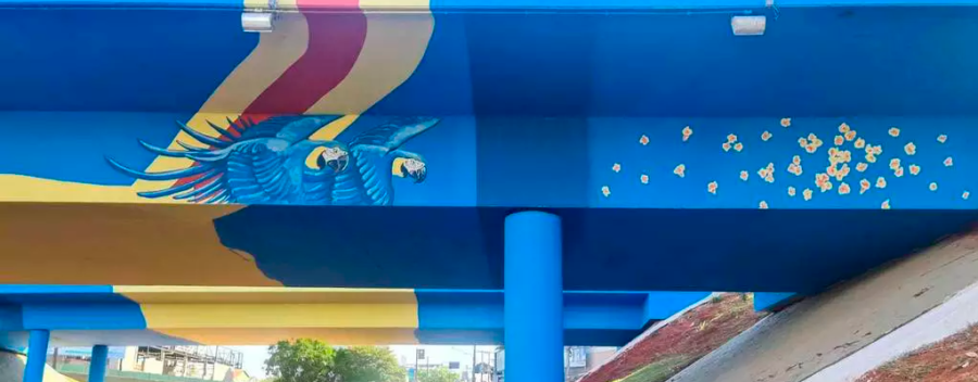 Viaduto da UFMS é o segundo a receber grafite em homenagem às araras