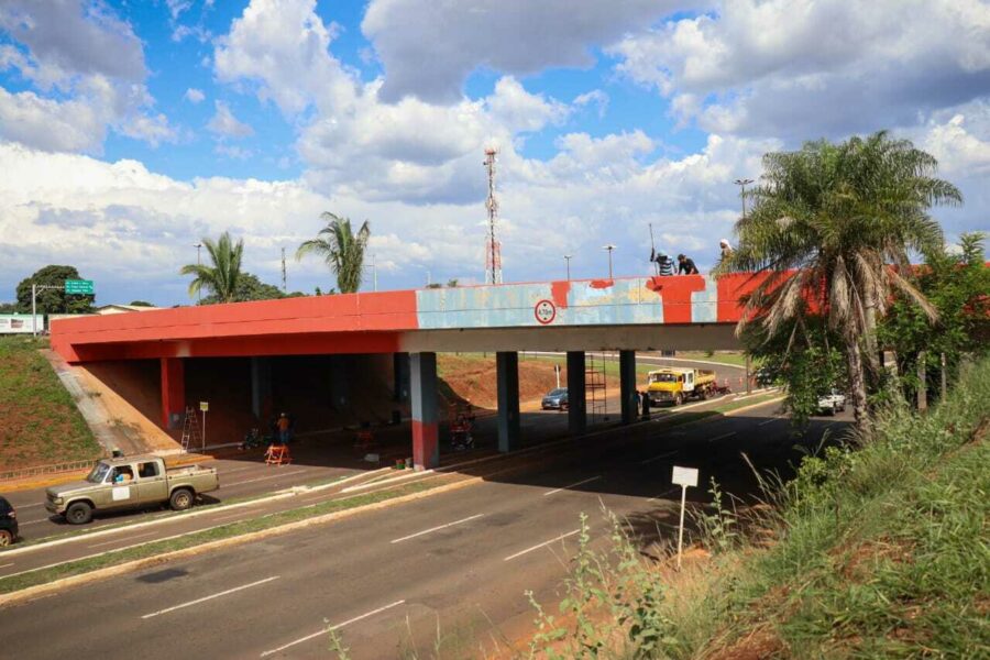 Vermelho começa a mudar “cara” de viaduto que irá expor homenagem a araras.