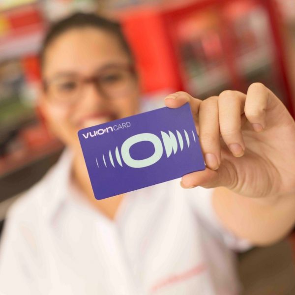 Mercado de seguros para pet prevê crescimento bilionário para os próximos anos Vuon Card
